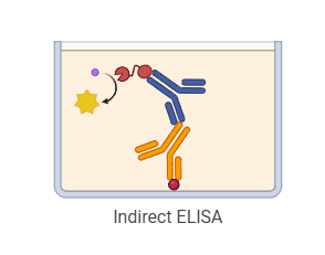 What Really Affects Your ELISA Results? A Complete Guide