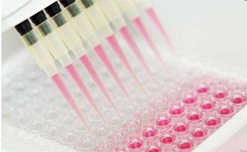 Uncovering the Secrets of ELISA Solid-Phase Carriers