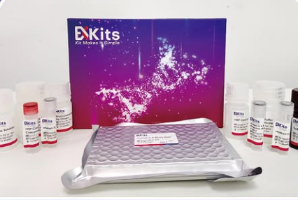 Preparation Process and Quality Control Analysis of High-Quality ELISA Kits