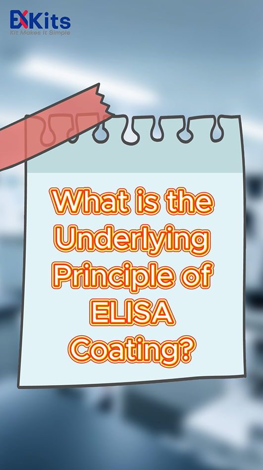 Part 1: ELISA Coating Science | Surface Chemistry & Optimal Concentration
