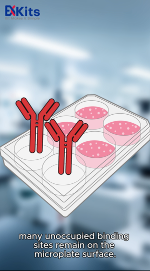 Part 2: ELISA Blocking Guide | Eliminate False Positives Effectively