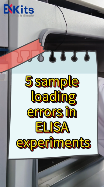 Part 3: 5 ELISA Pipetting Mistakes Ruining Your Data (Fixed)