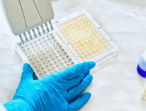 ELISA Experimental Result Interpretation Guide