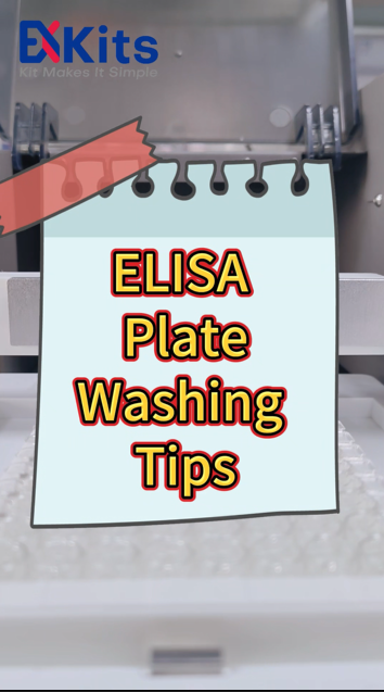 Part 4: ELISA Washing Protocol | Manual vs Machine for Low Background