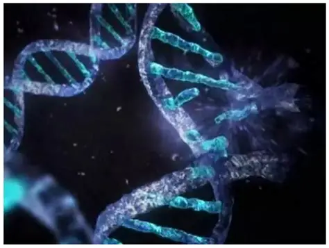 DNA Damage, Mutations and Cellular Repair Systems
