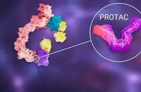 PROTAC: A Novel Technology Revolutionizing Small-Molecule Drug R&D