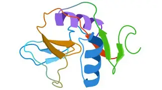 CD69: Classic Early Activation Biomarker for Lymphocytes & Key Regulator of Hematological Malignancies and Autoimmune Diseases