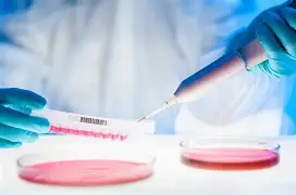 In Vivo vs. In Vitro: Select Suitable Experimental Models for Your Research Projects