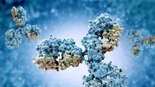 Comprehensive Analysis of Common Techniques and Applications for Protein Characterization