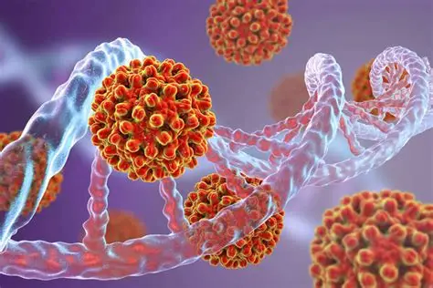 Introduction to Herpes Simplex Virus