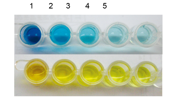 From OD Values to Reliable Data: Analysis of TMB, the Core Chromogenic Component of ELISA