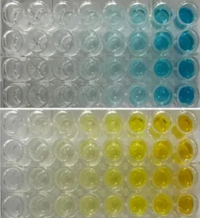 What are the differences between single‑component and two‑component TMB chromogenic substrates in ELISA experiments?