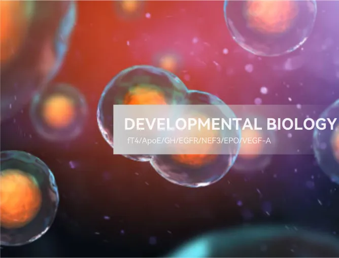 Developmental Biology