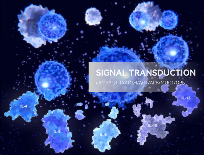 Signal Transduction
