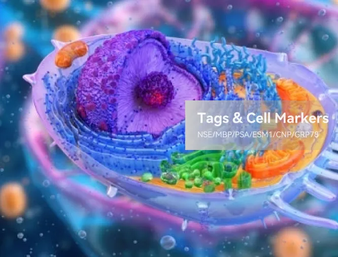 Tags & Cell Markers
