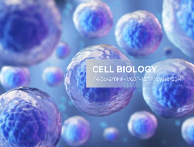 Cell Biology