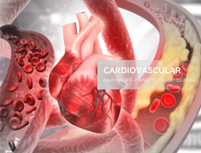 Cardiovascular