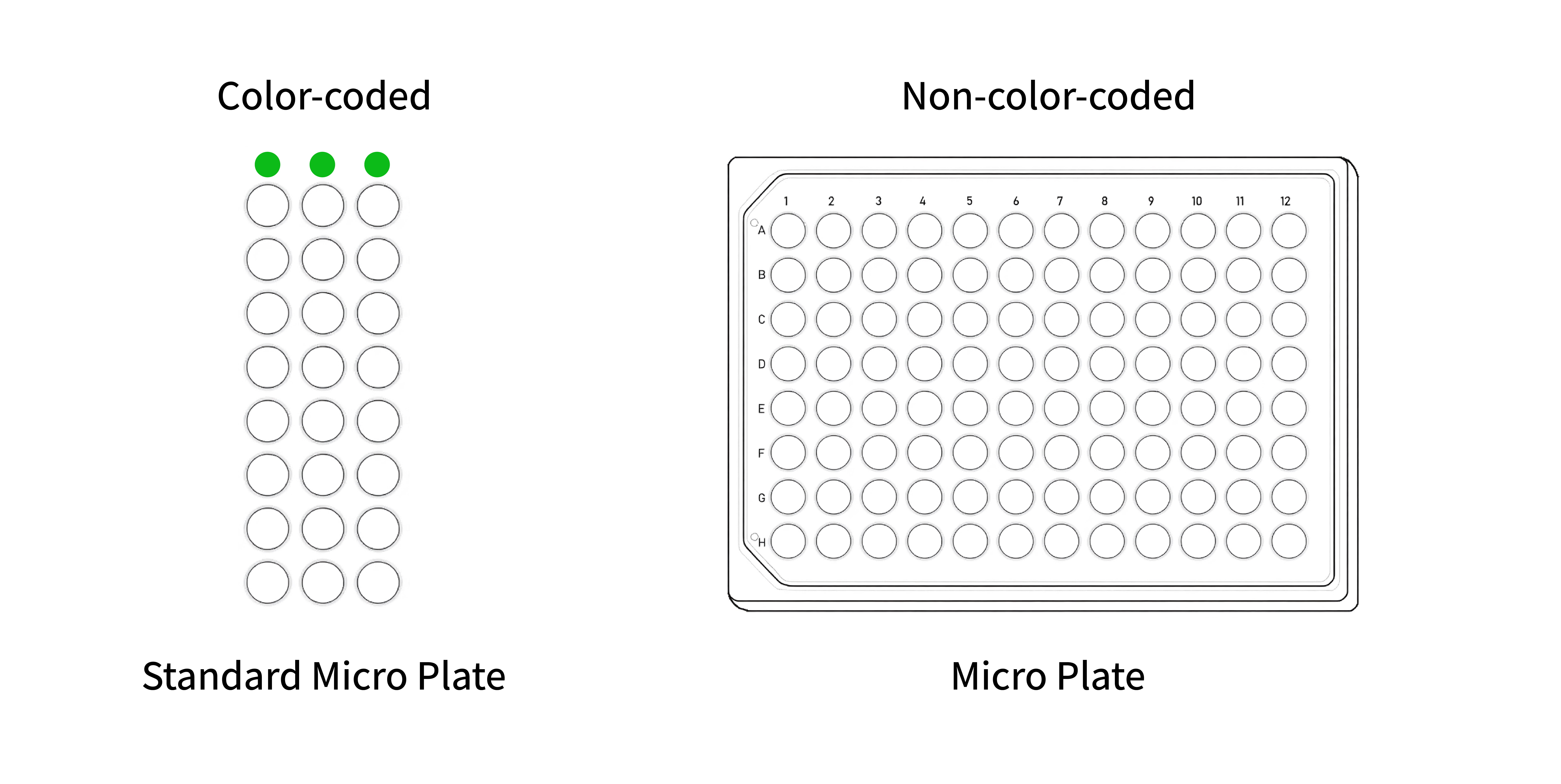 Microplate Structure Comparison